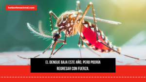 Dengue baja más de 30% en México, pero Salud advierte posible repunte en 2027