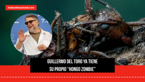 “Ophiocordyceps deltoroi”: el inquietante hongo mexicano bautizado en honor a Guillermo del Toro