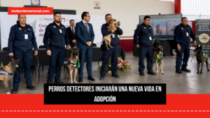 Tras años combatiendo el tráfico ilegal, cuatro binomios caninos de la ANAM pasan al retiro
