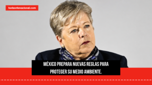 Semarnat prepara reforma a la principal ley ambiental de México tras más de 30 años