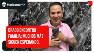 Draco encuentra hogar con Alfredo Venadero: una historia que invita a adoptar y no comprar