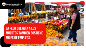 Una semana, 2 mil millones de pesos: el cempasúchil florece también como motor económico