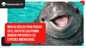 México refuerza restricciones a la pesca en el Golfo de California para proteger especies en peligro
