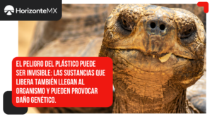 No sólo es tragarse el plástico: compuesto utilizado en PVC daña el ADN de tortugas de agua dulce